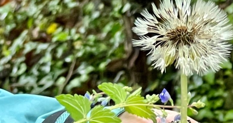 Achtsamkeit Retreat: Digital Detox in der Natur (gdl_918673456_image)