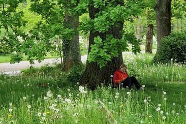 Shinrin Yoku / Waldbaden im Park Sihlfeld (gdl_918676730_image)