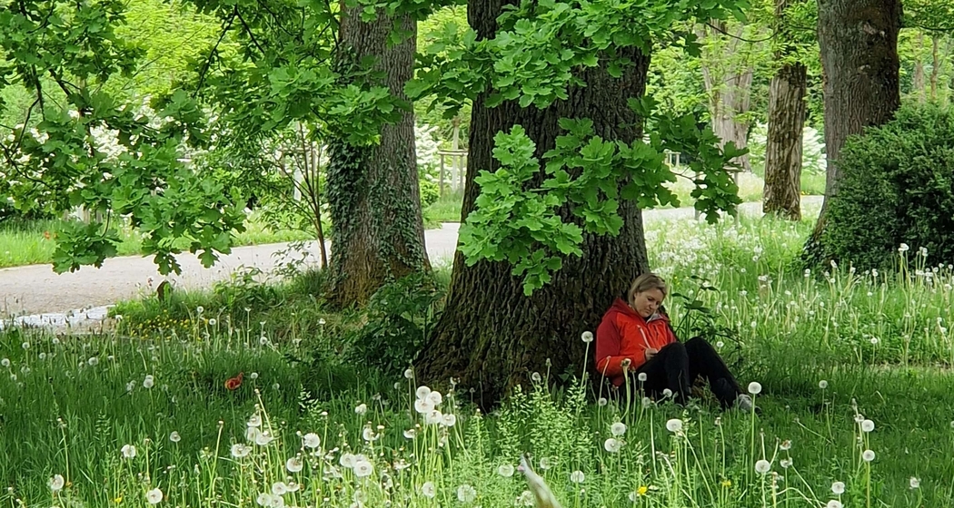 Shinrin Yoku / Waldbaden im Park Sihlfeld (gdl_918676730_image)