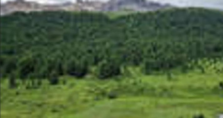 Achtsamkeit Retreat: Digital Detox in der Natur (gdl_918977639_image)