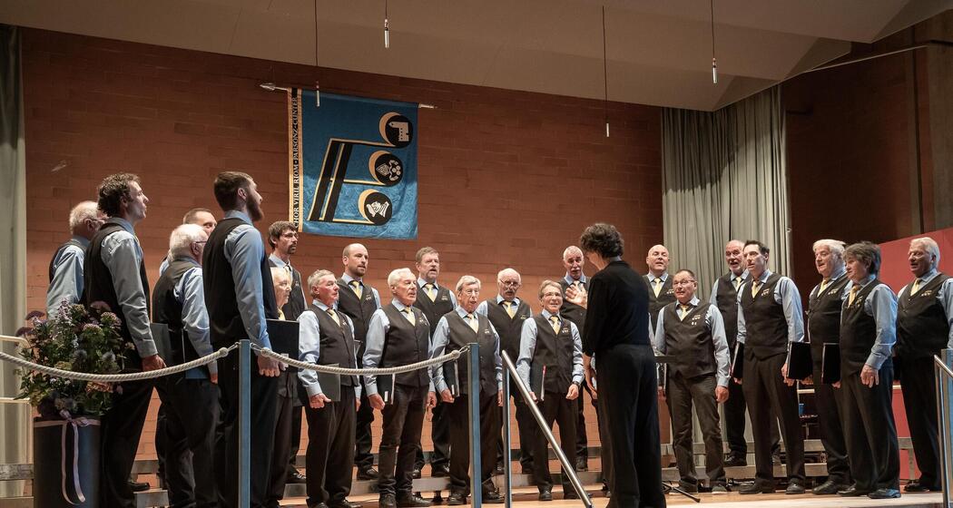 Gemeinschaftskonzert: Chor viril Riom-Parsonz-Cunter und Ensemble encanto (gdl_919040187_image)