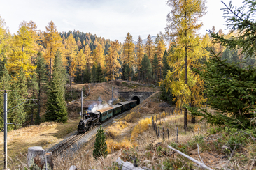 Engadiner Dampf-Erlebniszug (gdl_919334306_image)