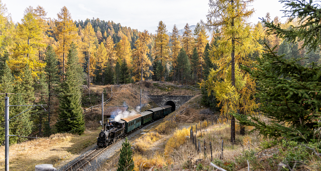 Engadiner Dampf-Erlebniszug (gdl_919334306_image)