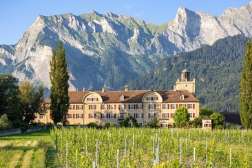 Offener Weinkeller (gdl_919354448_image)