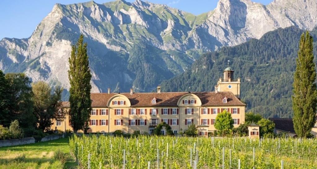 Offener Weinkeller (gdl_919354448_image)