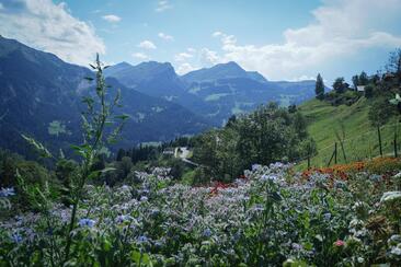 Biodiversität im Garten (gdl_919374359_image)