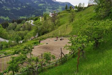 Klimaanpassungen im Garten (gdl_919374467_image)
