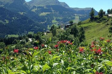 Bokhashi - gesunde Ernährung für Boden und Pflanzen (gdl_919374470_image)