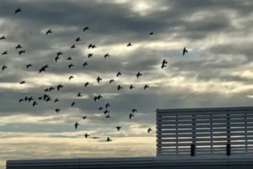 Moderiertes Gespräch zu Tagesgedanken im Kloster in Ilanz (gdl_919671960_image)