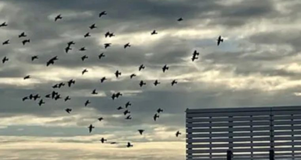 Moderiertes Gespräch zu Tagesgedanken im Kloster in Ilanz (gdl_919671960_image)