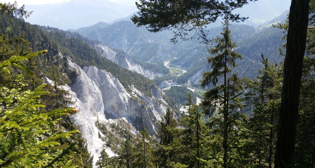 Orchideenwanderung Sagogn (gdl_919678644_image)