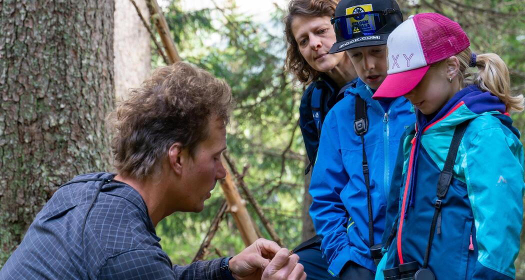 ArosaAkademie «Lebensraum Bergwald» (gdl_919685199_image)