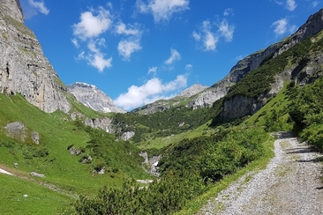 Alp Rusna bei Bargis - geführte Wanderung (gdl_919704955_image)