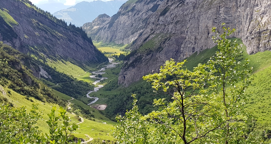 Alp Rusna bei Bargis - geführte Wanderung (gdl_919704956_image)