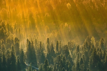 La force tranquille,
qui naît quand tu ne fais rien (gdl_920022537_image)