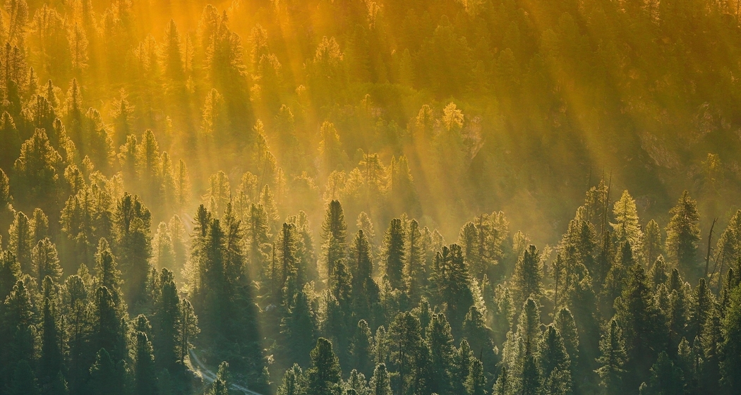 Die stille Kraft,
die entsteht, wenn Du nichts tust (gdl_920022537_image)