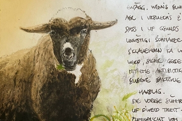 Vortrag "Bruno Manser in Nufenen 1977-1983" (gdl_920101213_image)