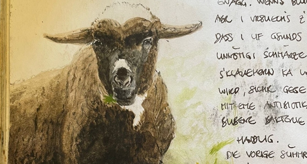 Vortrag "Bruno Manser in Nufenen 1977-1983" (gdl_920101213_image)