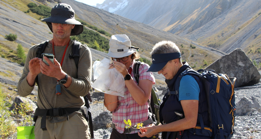 Vortrag "Graubündens Pflanzenwelt vor 100 Jahren und heute" (gdl_920158204_image)
