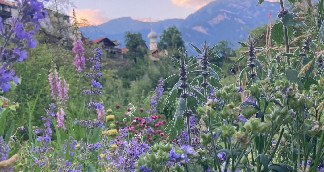 Schritt für Schritt zu deinem Permakultur-Garten (gdl_920171211_image)