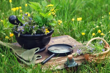 faszinaturExkursion "Heilkräuter am Wegesrand" in Valendas (gdl_920295762_image)