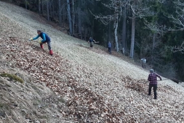 Im Einsatz für die Naturvielfalt im Schanfigg (gdl_920617618_image)