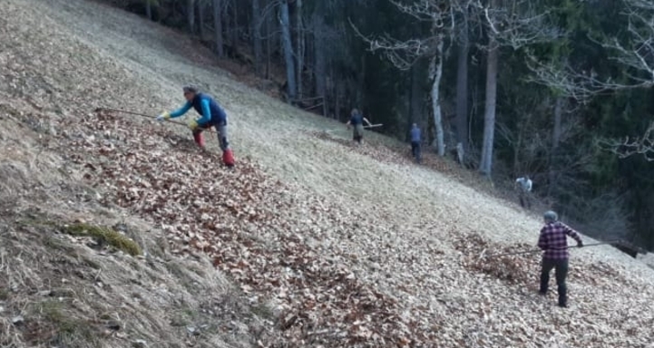 Im Einsatz für die Naturvielfalt im Schanfigg (gdl_920617618_image)