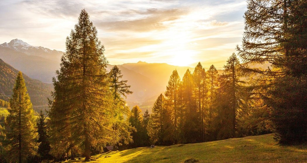 2-Tages-Einsatz in der schönen Val Lumnezia - Pflege mit uns eine Lärchenweide (gdl_920630697_image)