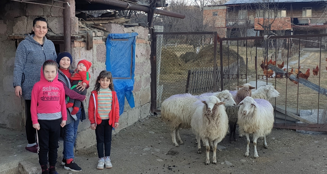 Little Bridge - Nothilfe in Armenien (gdl_920647430_image)