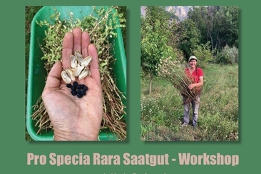 Pro Specia Rara Saatgut-Workshop (gdl_920803682_image)