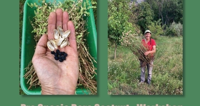 Pro Specia Rara Saatgut-Workshop (gdl_920803682_image)