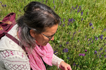Wildkräuterwanderung (gdl_920810236_image)