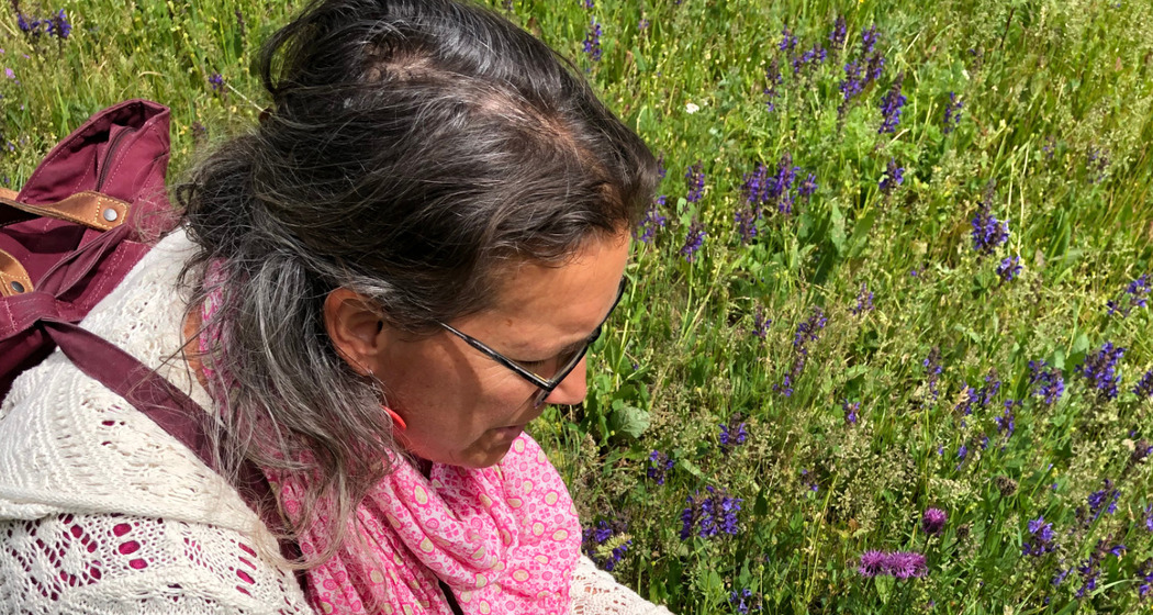 Wildkräuterwanderung (gdl_920810236_image)