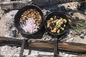 Pilzekursion mit Kochen auf dem Feuer (gdl_920922447_image)