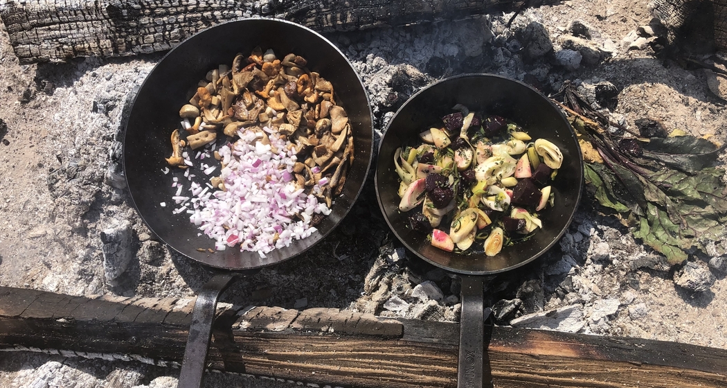 Pilzekursion mit Kochen auf dem Feuer (gdl_920922447_image)