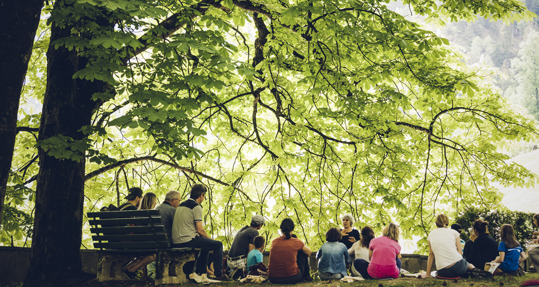 Der Gesang der Bäume (gdl_920929008_image)