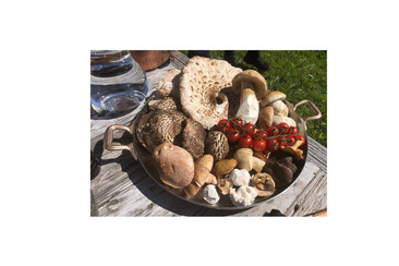 Pilzwanderung Lavin bis Susch (gdl_920945352_image)