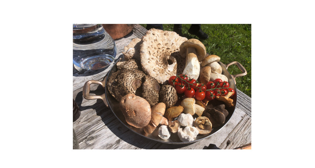 Pilzwanderung Lavin bis Susch (gdl_920945352_image)