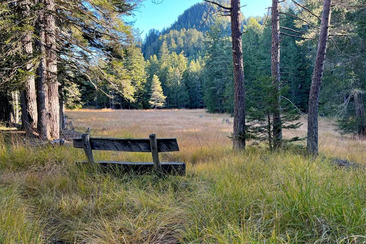 Passeggiata primaverile Santa Maria - Braggio (gdl_921142049_image)