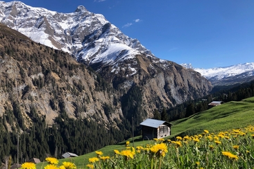 Naturparktour bei den Walsern im Safiental (gdl_921297176_image)