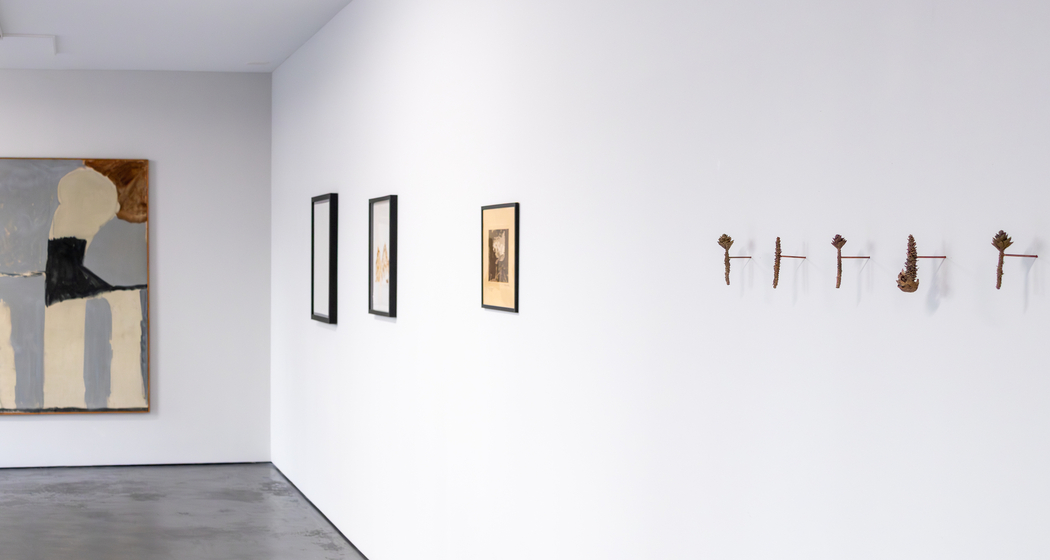 Visita guidada tras l’exposiziun Visita guidada tras l’exposiziun "Rumantsch!" (gdl_921615585_image)