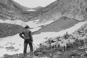 Handbuch Schafalp - Lesung in Waltensburg (gdl_921630231_image)