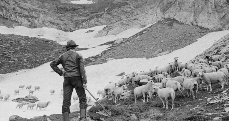 Handbuch Schafalp - Lesung in Waltensburg (gdl_921630231_image)