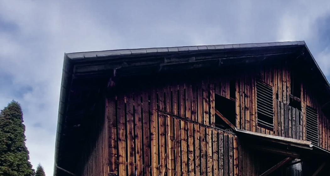 Museumsführung "AMuG" durch die 6. Klasse Andeer (gdl_921656606_image)