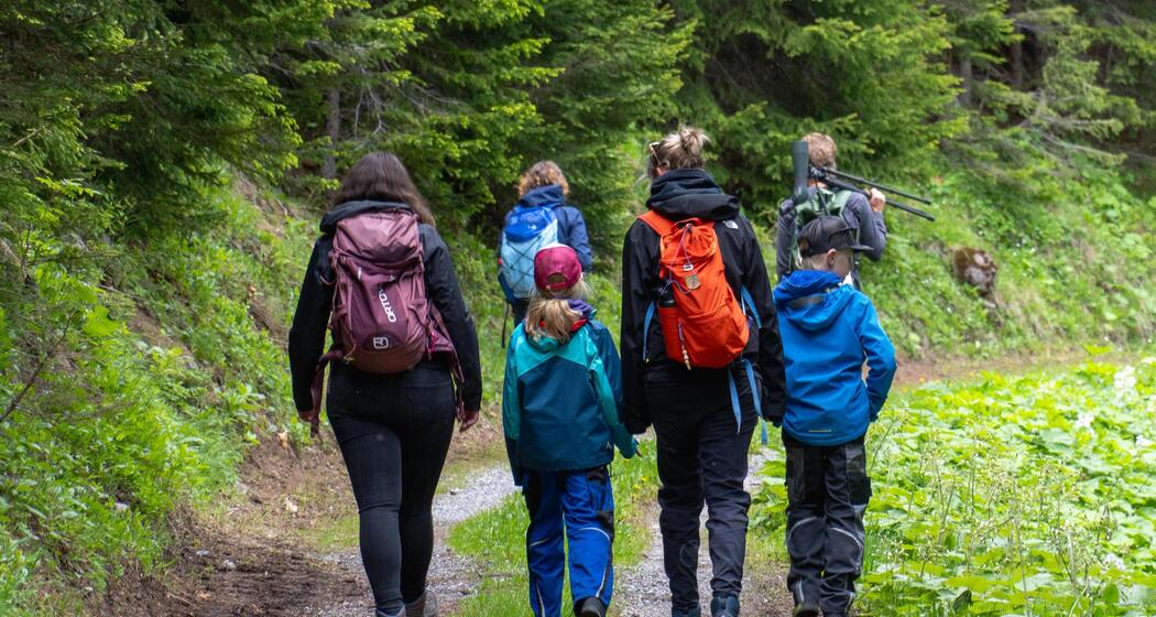 ArosaAkademie «Lebensraum Bergwald» (gdl_921813309_image)