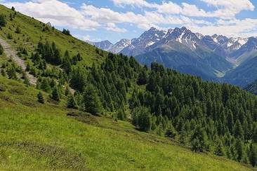 Achtsamkeit Retreat: Digital Detox in der Natur (gdl_921921961_image)