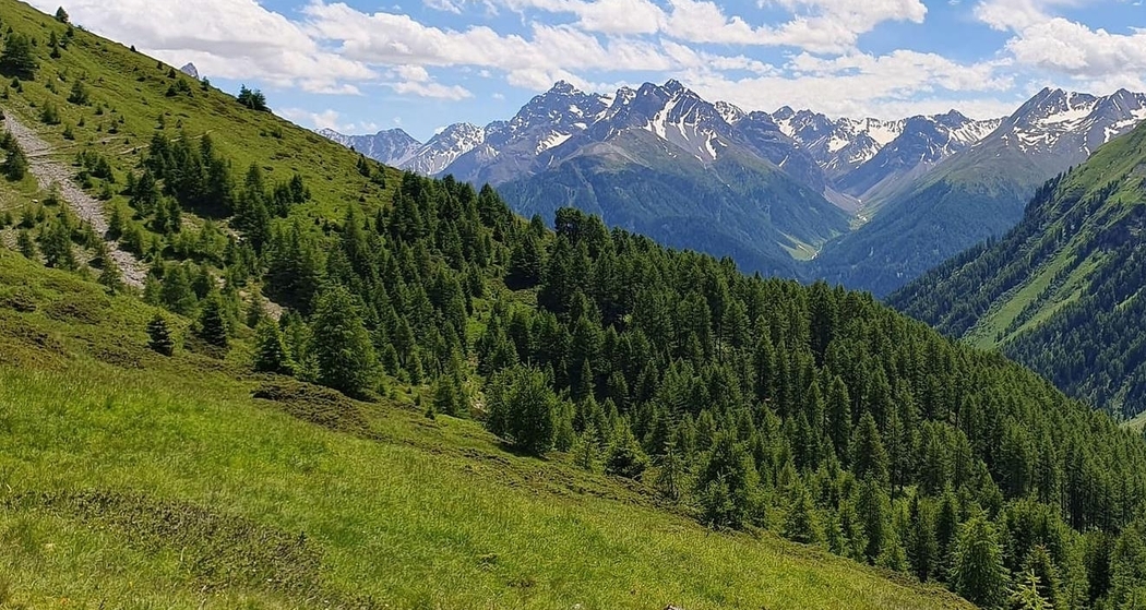 Achtsamkeit Retreat: Digital Detox in der Natur (gdl_921921961_image)