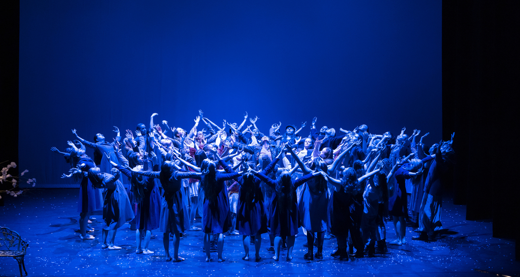 PINOCCHIO - ein Tanztheater (gdl_921985017_image)