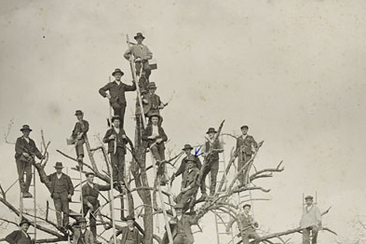 Pruning fruit trees - Tagliar pumera (gdl_922120851_image)