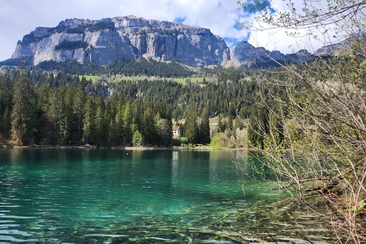 flimsfestival: Eröffnungskonzert Oboenquartett (gdl_922280984_image)
